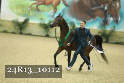 24R13_10112 thumbnail