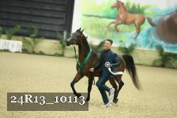 24R13_10113 thumbnail