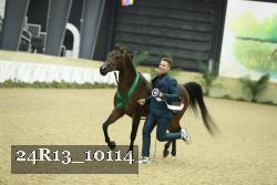 24R13_10114 thumbnail