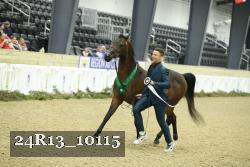 24R13_10115 thumbnail