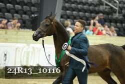 24R13_10116 thumbnail