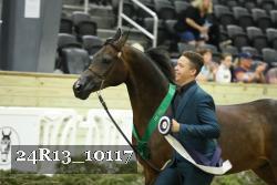 24R13_10117 thumbnail