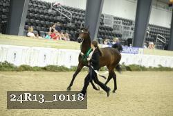 24R13_10118 thumbnail