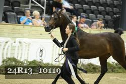 24R13_10119 thumbnail