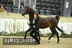 24R13_10120 thumbnail