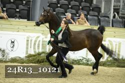 24R13_10121 thumbnail