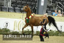 24R13_10122 thumbnail