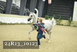24R13_10123 thumbnail