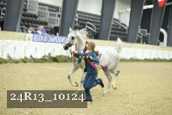 24R13_10124 thumbnail