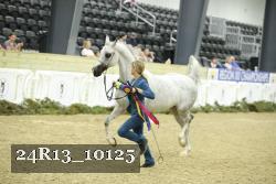 24R13_10125 thumbnail