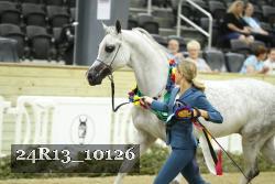 24R13_10126 thumbnail
