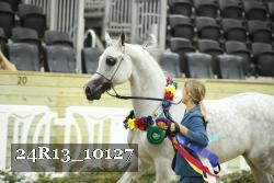 24R13_10127 thumbnail