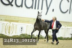24R13_10129 thumbnail