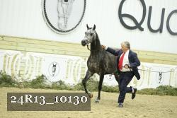 24R13_10130 thumbnail