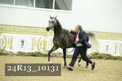 24R13_10131 thumbnail