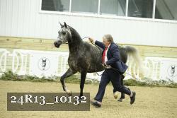 24R13_10132 thumbnail