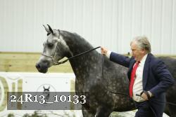 24R13_10133 thumbnail