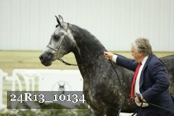 24R13_10134 thumbnail