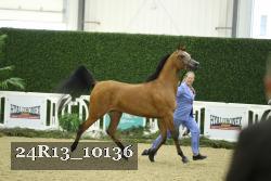 24R13_10136 thumbnail