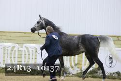 24R13_10137 thumbnail