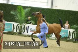 24R13_10139 thumbnail