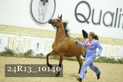 24R13_10140 thumbnail