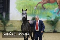 24R13_10141 thumbnail