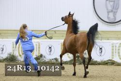 24R13_10142 thumbnail