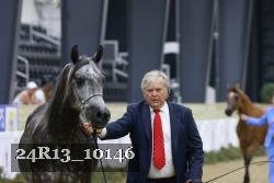 24R13_10146 thumbnail