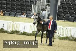 24R13_10147 thumbnail