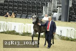24R13_10148 thumbnail
