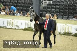 24R13_10149 thumbnail