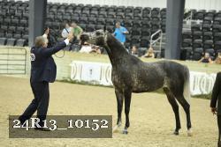 24R13_10152 thumbnail