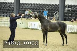 24R13_10153 thumbnail