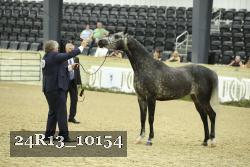 24R13_10154 thumbnail