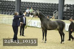 24R13_10155 thumbnail