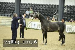 24R13_10156 thumbnail