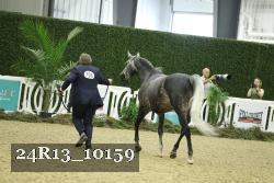 24R13_10159 thumbnail
