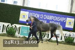 24R13_10160 thumbnail