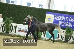 24R13_10161 thumbnail