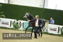 24R13_10162 thumbnail