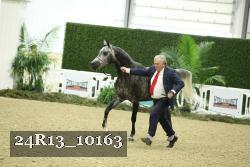 24R13_10163 thumbnail