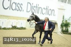 24R13_10164 thumbnail