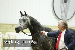 24R13_10165 thumbnail