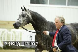 24R13_10167 thumbnail