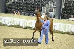 24R13_10168 thumbnail