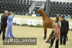24R13_10169 thumbnail