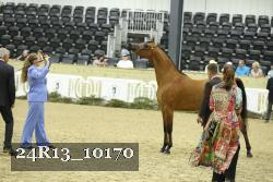 24R13_10170 thumbnail