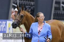 24R13_10171 thumbnail