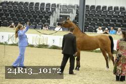 24R13_10172 thumbnail